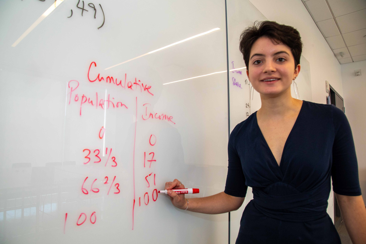 Woman writes economic calculations on whiteboard
